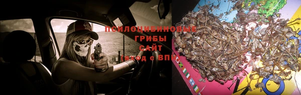 винт Алексеевка