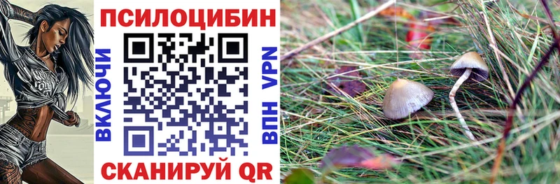 Псилоцибиновые грибы MAGIC MUSHROOMS  дарнет шоп  Щигры 